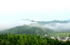 “抹茶全產(chǎn)業(yè)鏈關(guān)鍵技術(shù)與裝備創(chuàng)新及應(yīng)用”項(xiàng)目科技成果評(píng)價(jià)會(huì)召開
